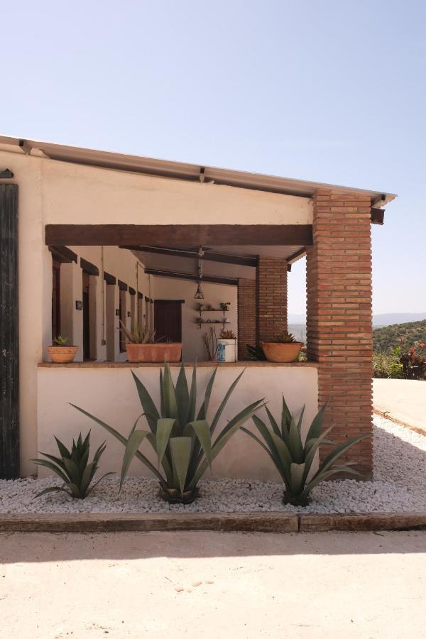 The Wild Olive Andalucia Agave Guestroom Casares Exterior photo